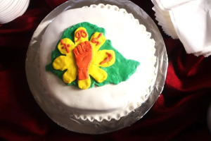 በትምራን አዘጋጅነት ለኢትዮጵያ ሴት የፖለቲካ ፓርቲ አባላት ጥምረት ለአራት ቀናት የተሰጠው ሥልጠና ተጠናቀቀ