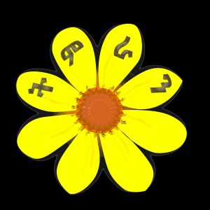 #Upcoming Event                                   TIMRAN General Assembly-September 16, 2023