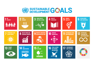 Gender Equality-The fifth pillar of #UN SDGs