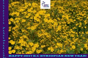 Happy New 2017 Ethiopian Year-Coalition