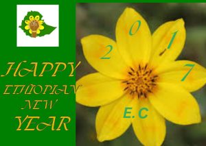 HAPPY 2017 ETHIOPIAN NEW YEAR-TIMRAN