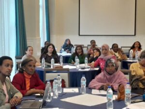 TIMRAN conducted Women Peace building Advocacy Strategy validation session
