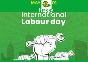 TIMRAN WISHS A HAPPY MAY DAY!