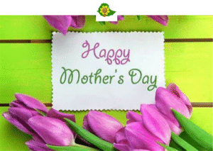 HAPPY MOTHER’S DAY-2025!