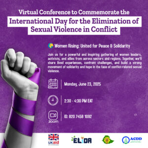 Virtual Conference to Commemorate the International Day for the Elimination of Sexual Violence in Conflict