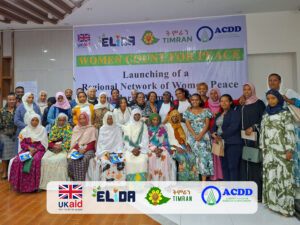 TIMRAN organized a workshop to establish a Regional Network of Local Peacebuilders and Women’s Rights Defenders in the Amhara region             
