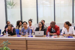 The Women’s Political Participation Community of Practice, co-chaired by TIMRAN and UN Women Ethiopia, organized a post-election reconvening meeting to reflect on the 7th General Election.