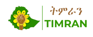 Women’s Representation in Ethiopia’s New Political Leadership: A Gender Analysis of Federal, Regional and City Administration Appointments